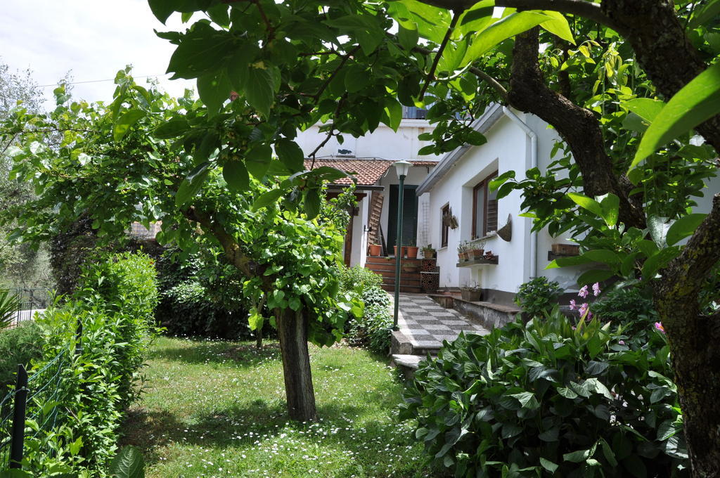 Casa Gaia Sorrento Bio Vacanze Sorrento