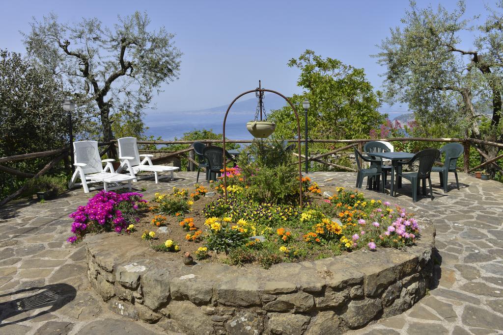 Guest house Il Casale
