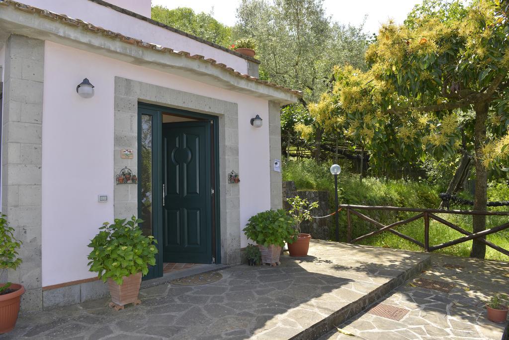 Guest house Il Casale 2*