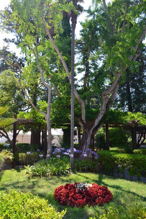 Relais La Rupe Guest house 2*