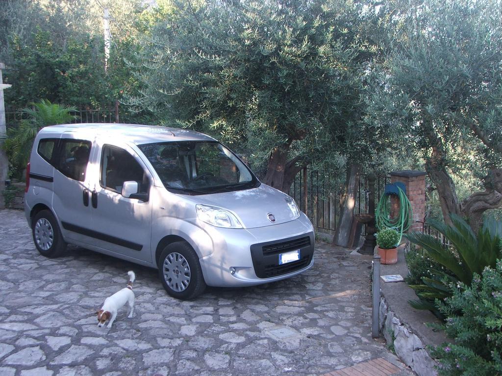 Vakantiehuis Villetta Surriento Sorrento
