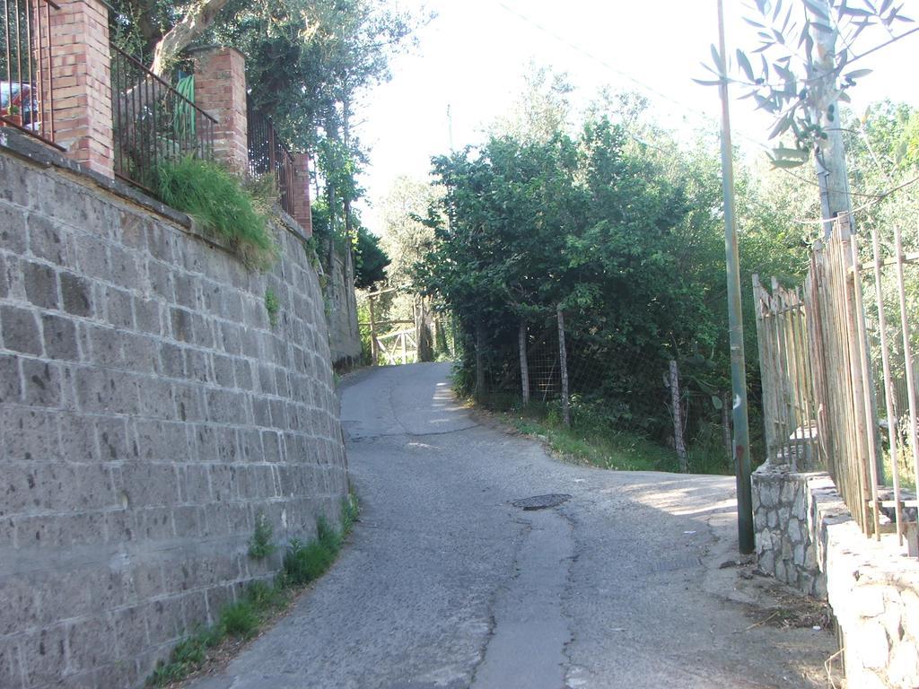 Villetta Surriento Vakantiehuis Sorrento