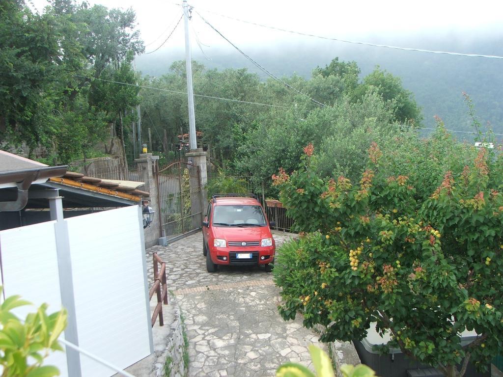 Vakantiehuis Villetta Surriento *