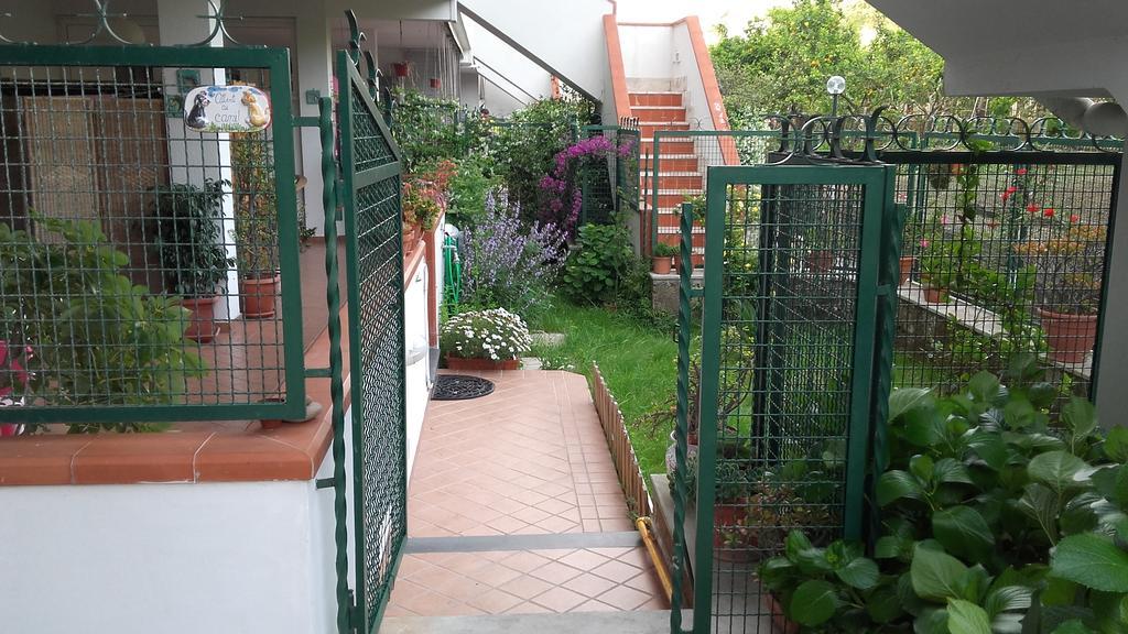 Bed & Breakfast Il Giardino Di Montariello *