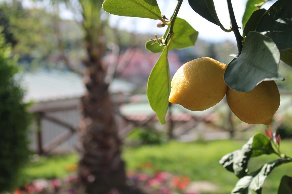 Casa Vacanze Chery Sorrento