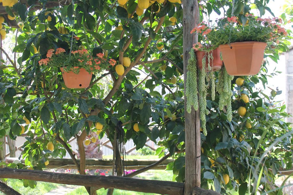 Holiday home Casa Vacanze Chery Sorrento