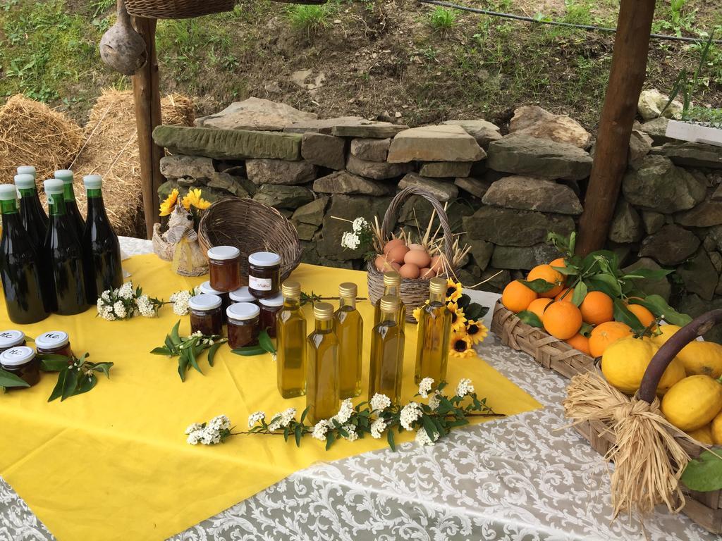 Agriturismo Primaluce Farm stay *