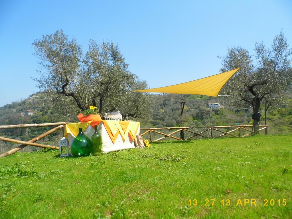 Agriturismo Primaluce Farm stay