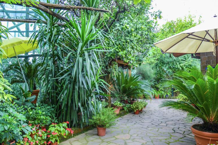 Casale Nunziatina Sorrento