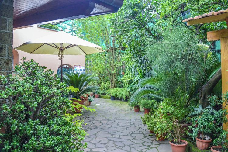 Casale Nunziatina Sorrento