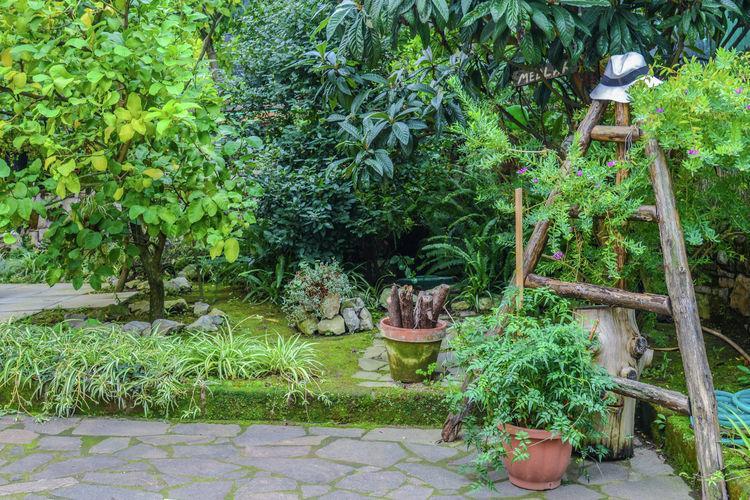Casale Nunziatina Apartment *