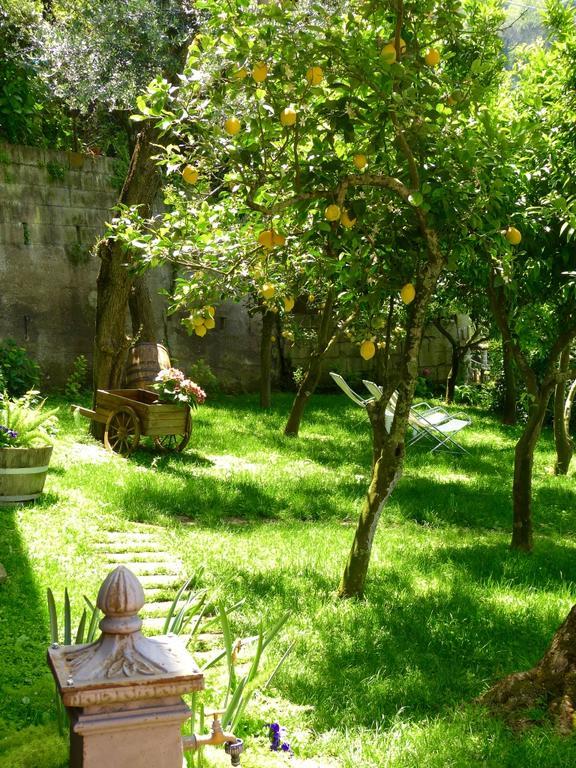 Villa Villa Carolina Sorrento Private Heated Mini Pool And Sea View Sorrento