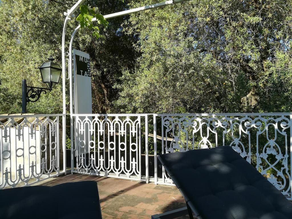 Guest house Muta House Sorrento