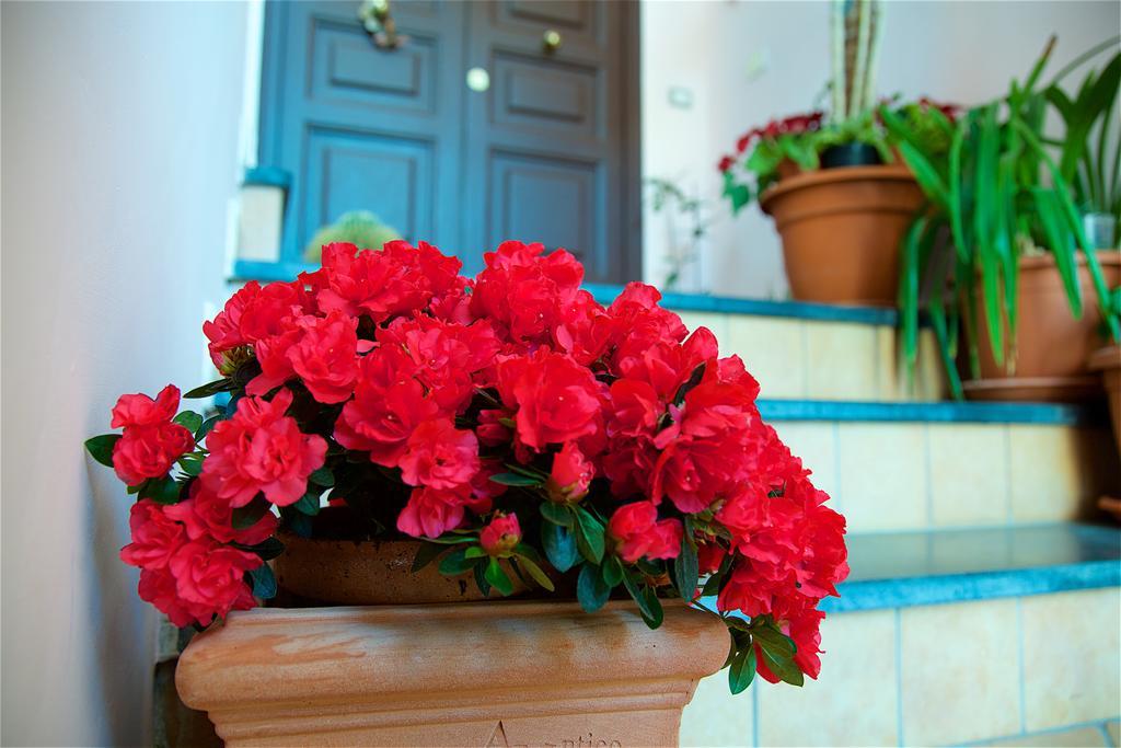 Bed & Breakfast Il Giardino Segreto 3*