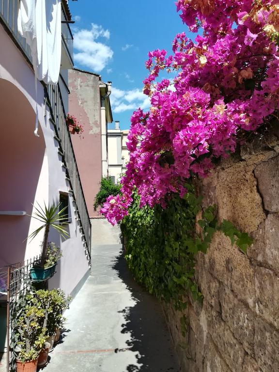 Angel's Sorrento