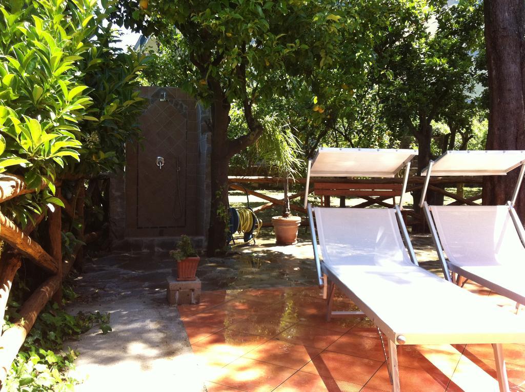 Paradiso Holiday home *