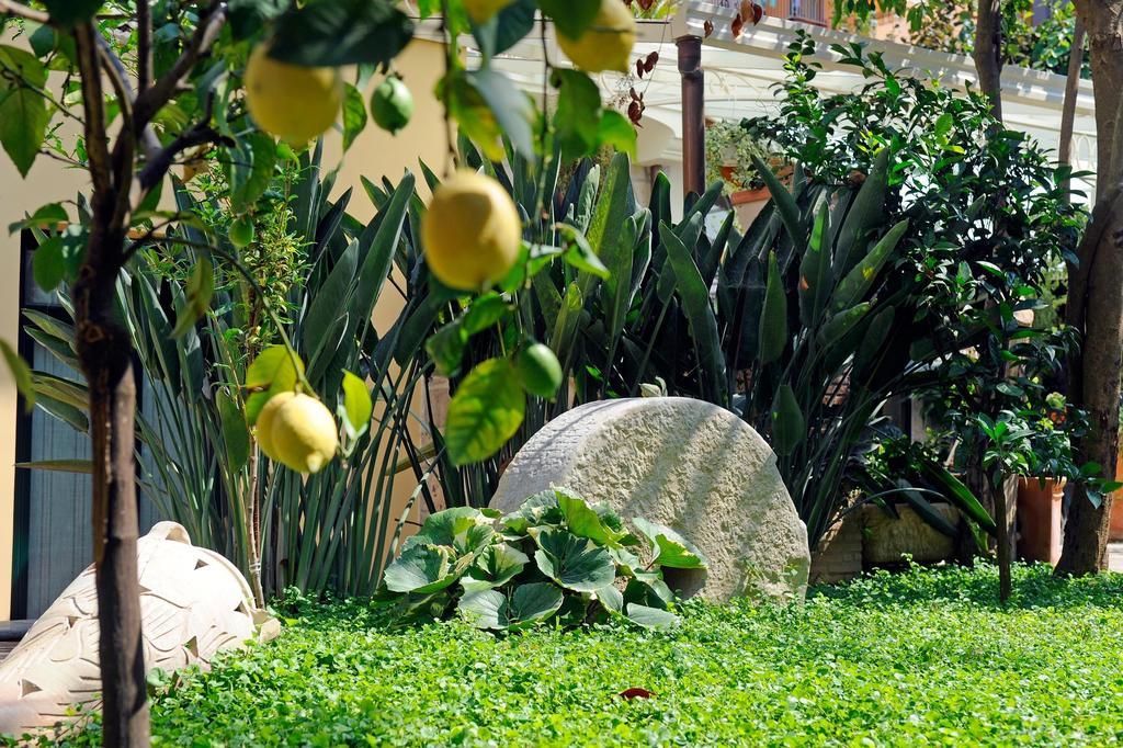 Relais Angiolina 3* Sorrento