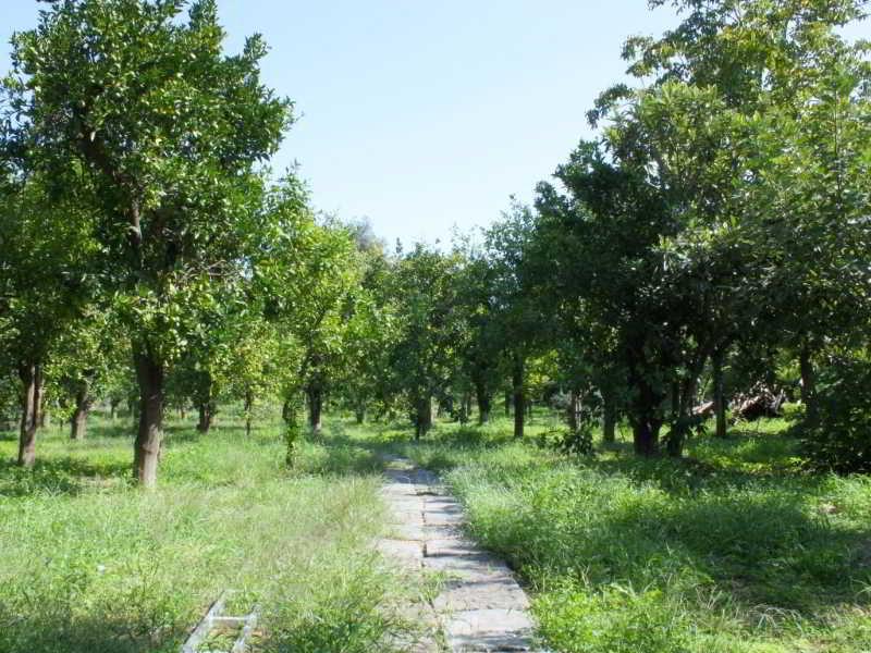 Bed & Breakfast Relais Correale & Garden