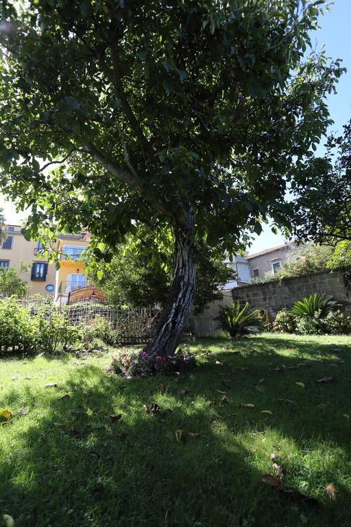 Acomodação com café da manhã  Ambrosio Relais