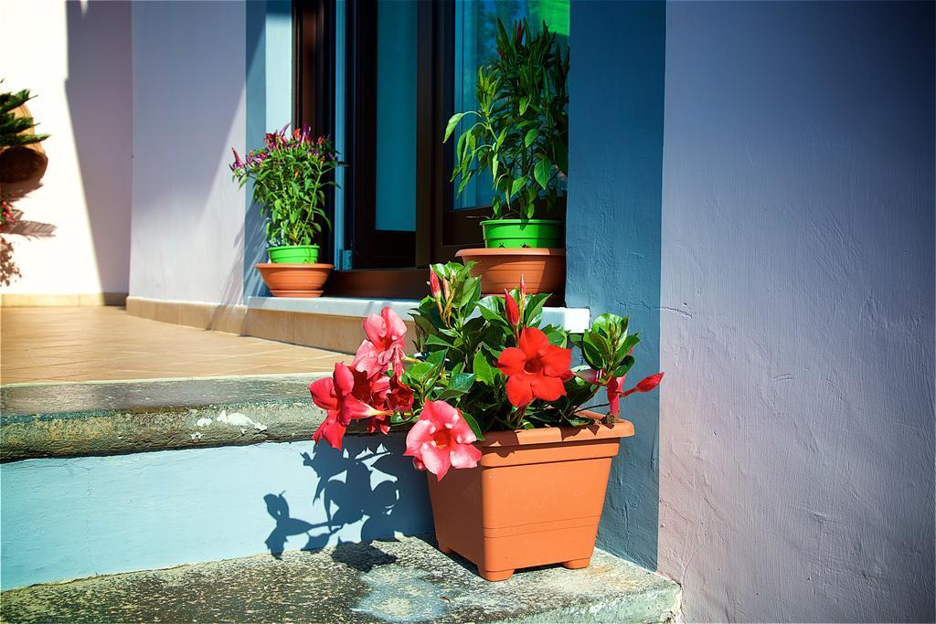 Il Giardino Segreto Bed & Breakfast Sorrento