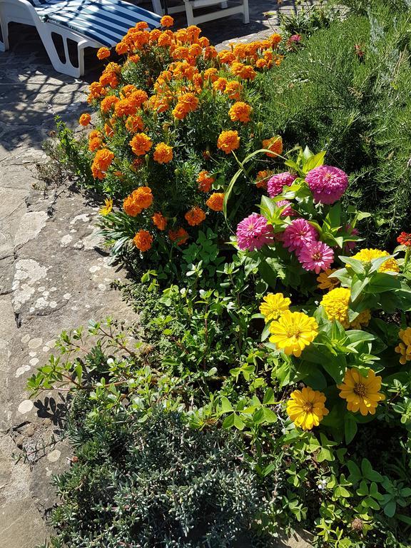 Il Casale Guest house 2*