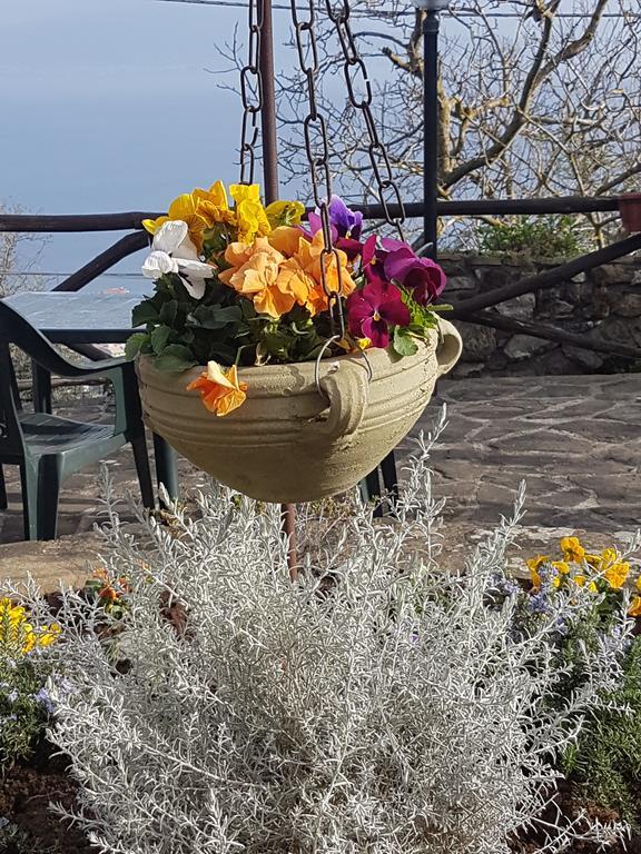 Il Casale Guest house Sorrento