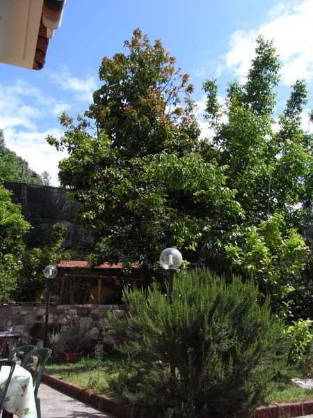 Casale Nunziatina * Sorrento