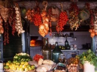 Azienda Agricola Fattoria Terranov *