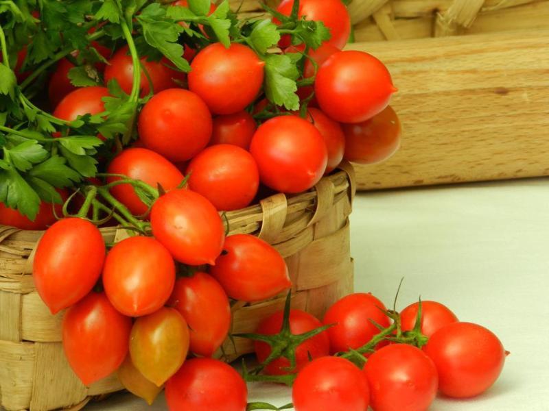 Azienda Agricola Fattoria Terranov Farm stay Sorrento