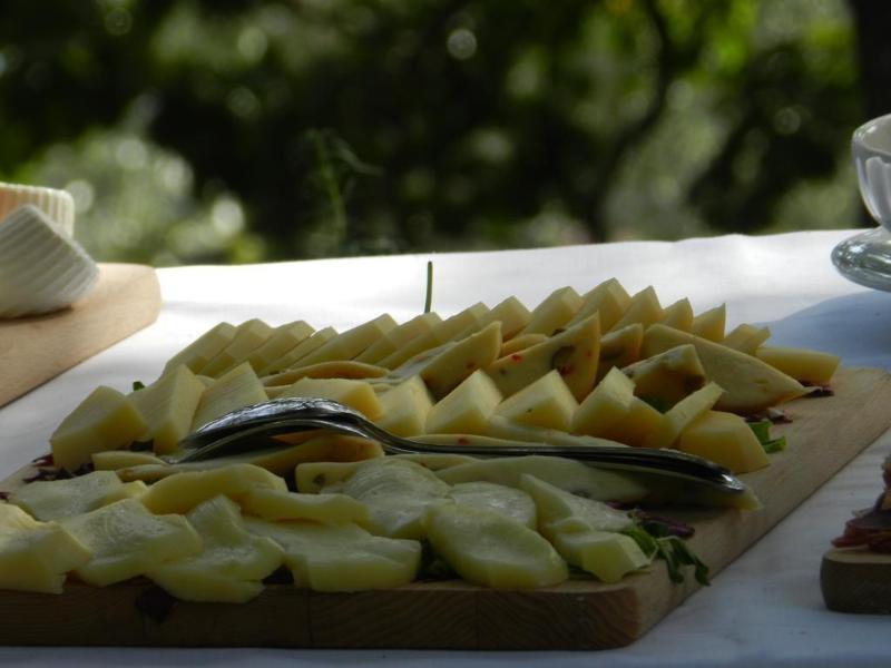 Azienda Agricola Fattoria Terranov Farm stay