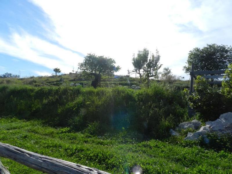 Farm stay Azienda Agricola Fattoria Terranov Sorrento