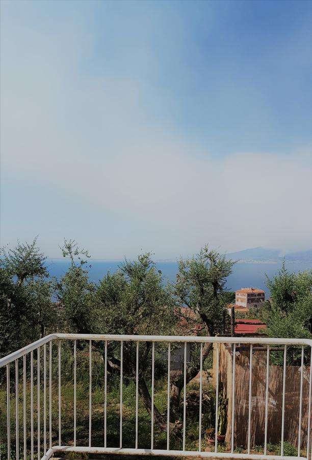 Garden Guest house Sorrento