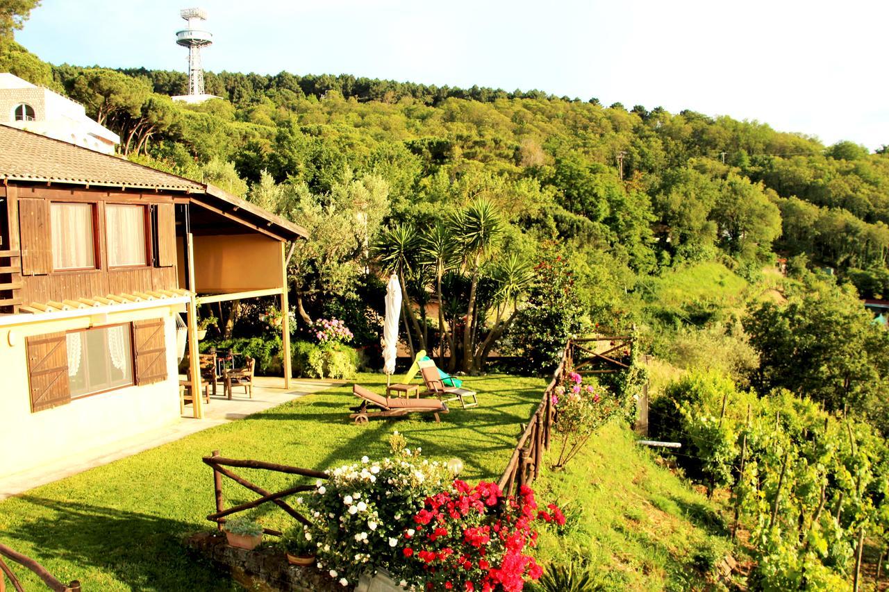 Chalet Annie Casa de férias