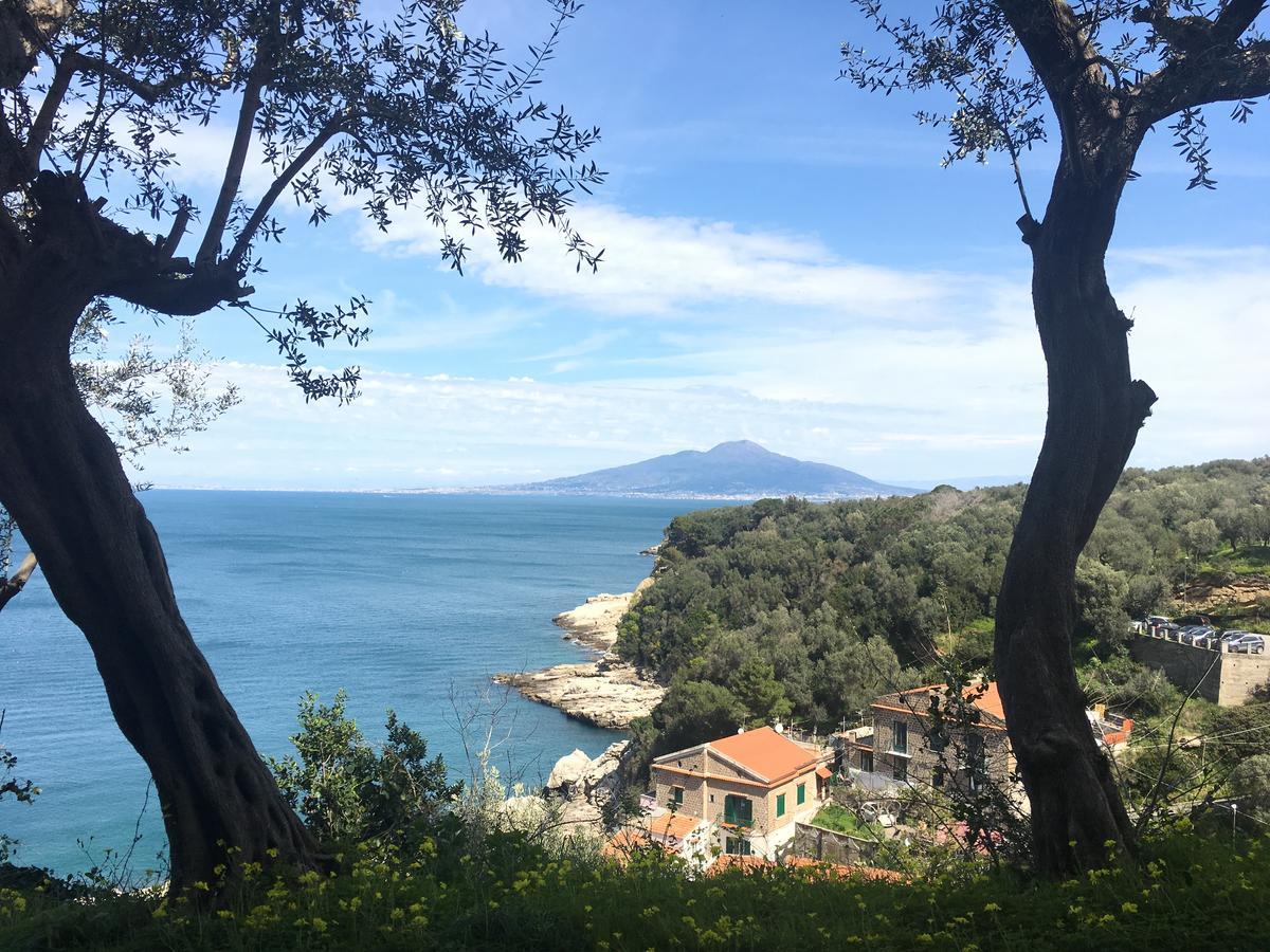 Holiday home Maison Del Mare Sorrento. *