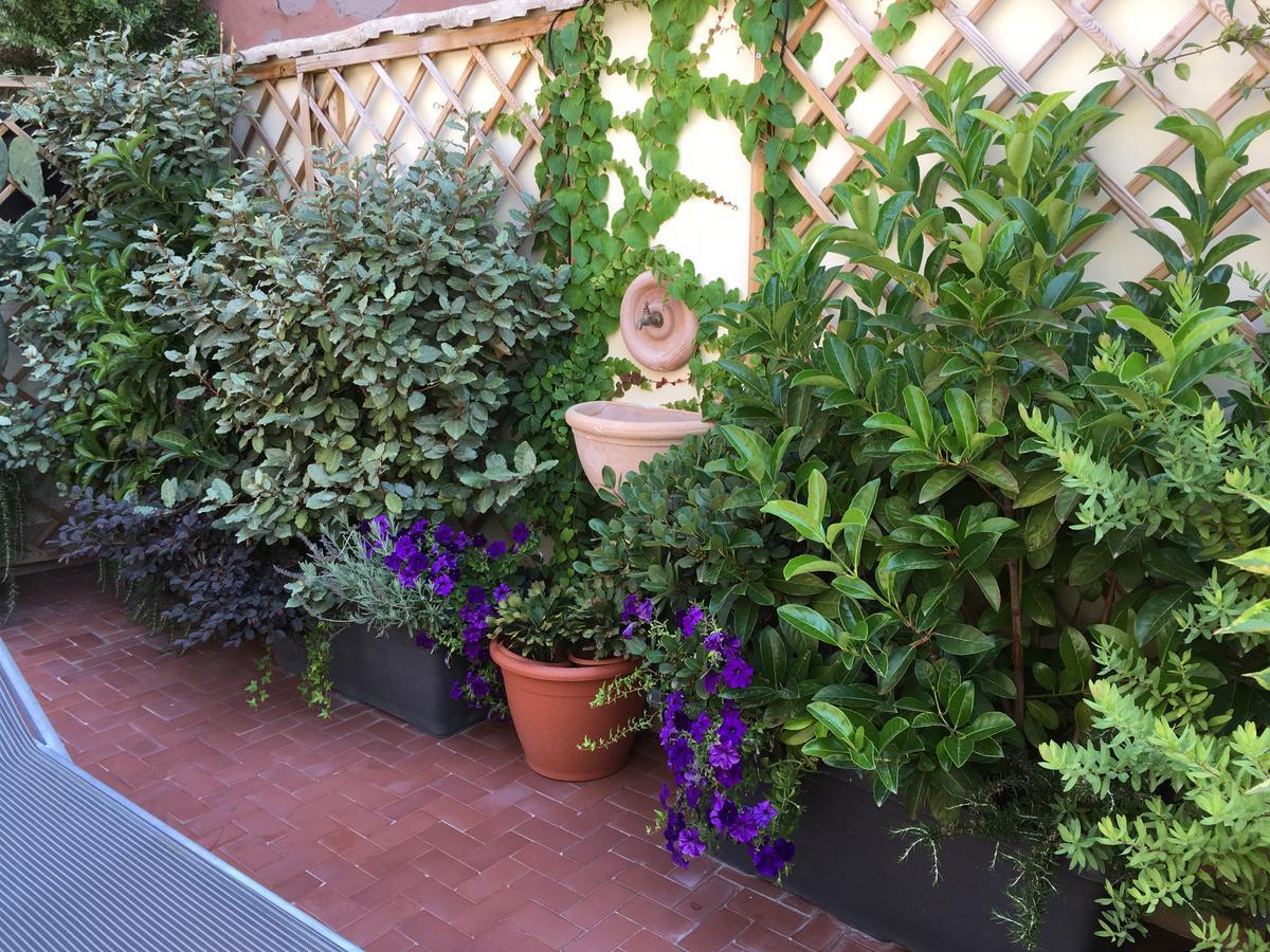 Il Giardino Segreto Bed & Breakfast Sorrento