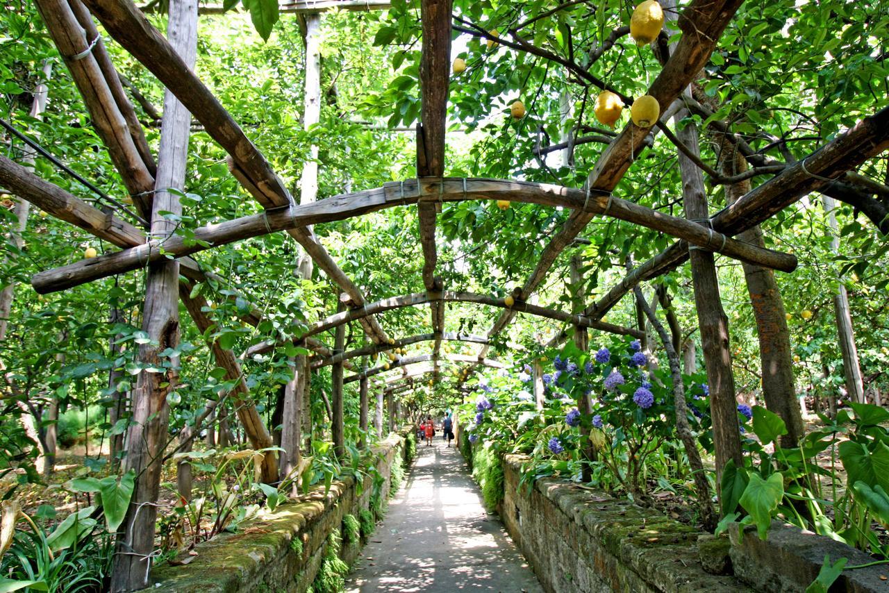 I Giardini Di Cataldo Sorrento