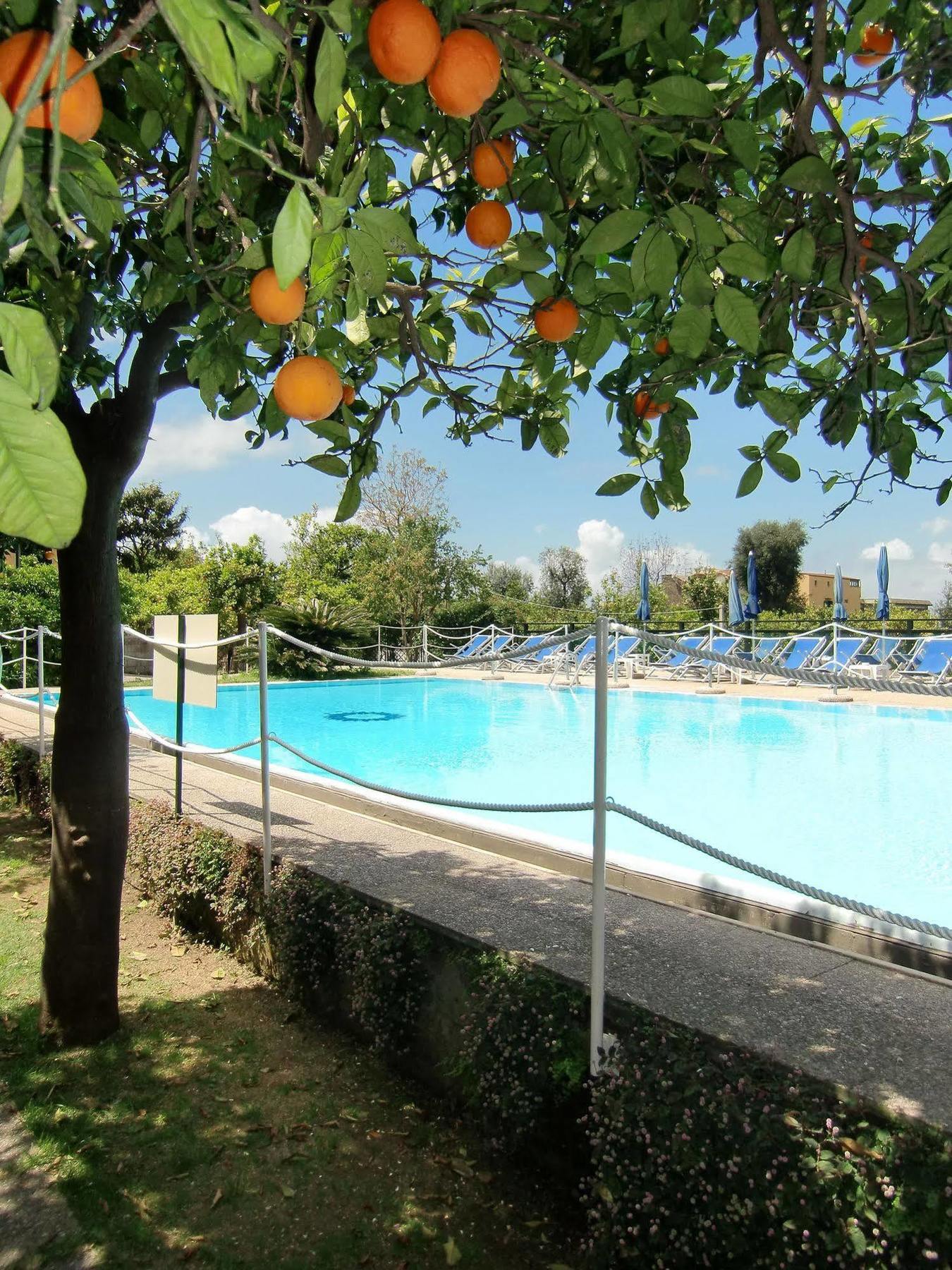 Hotel Girasole 3*