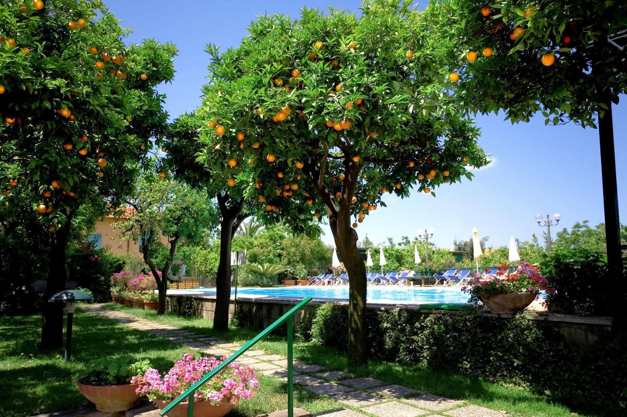 Hotel Girasole 3*