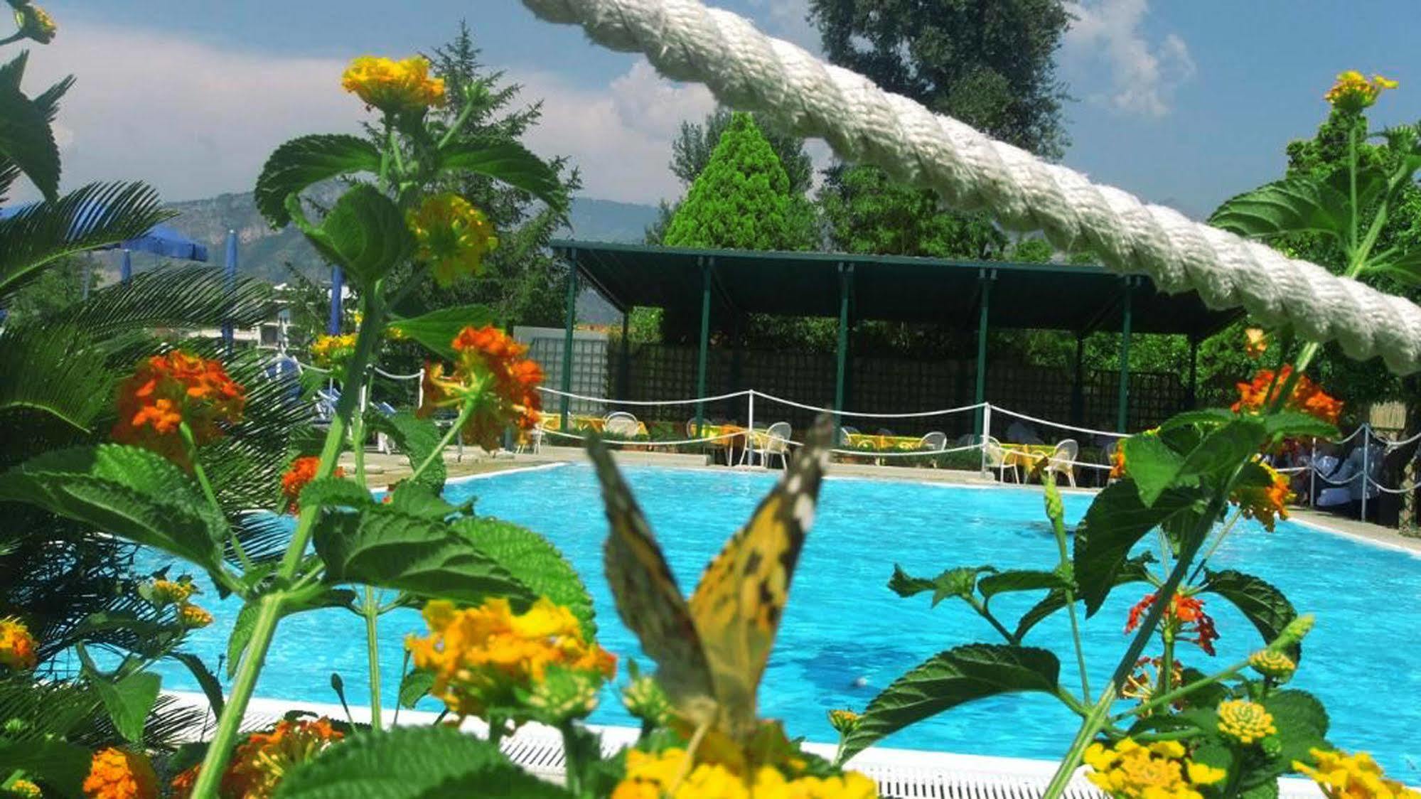 Girasole Sorrento