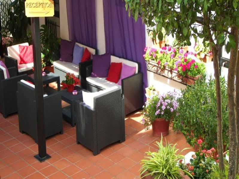 Fiorita Sorrento