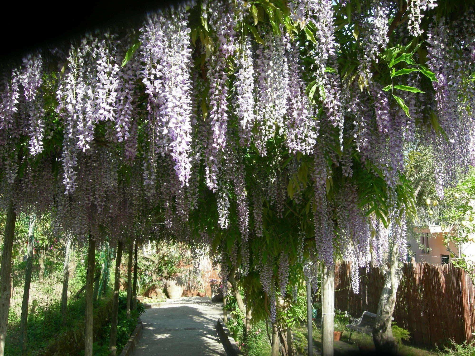 Appartamento Rosmary *