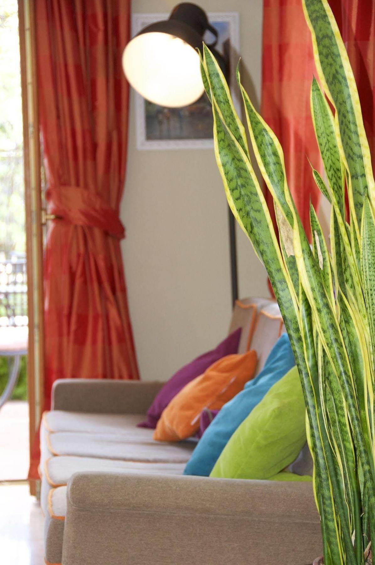 Tirrenia Hotel 3*