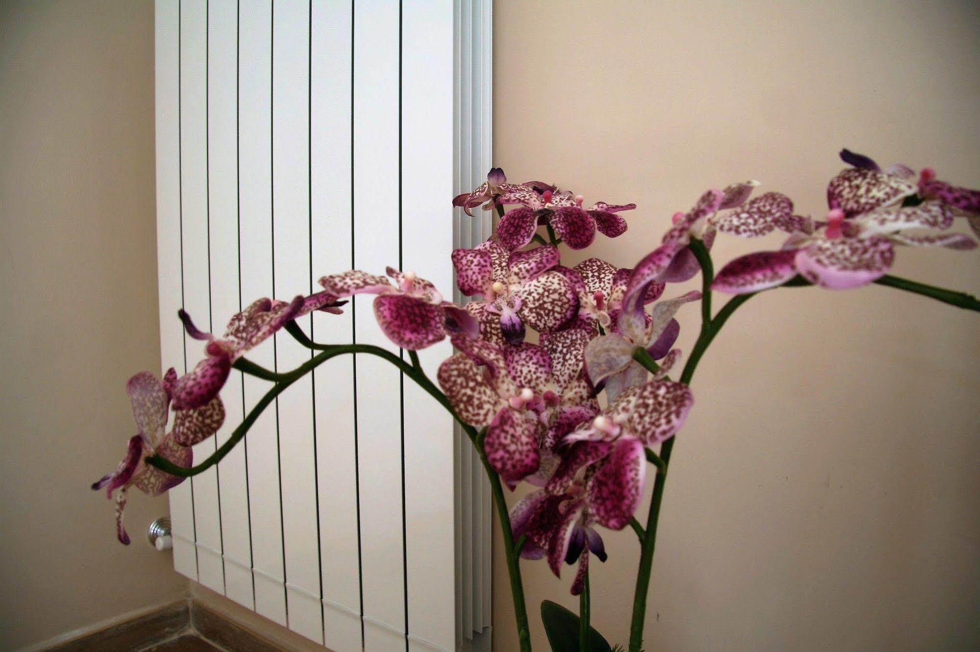 Bed & Breakfast Giacomino 3*