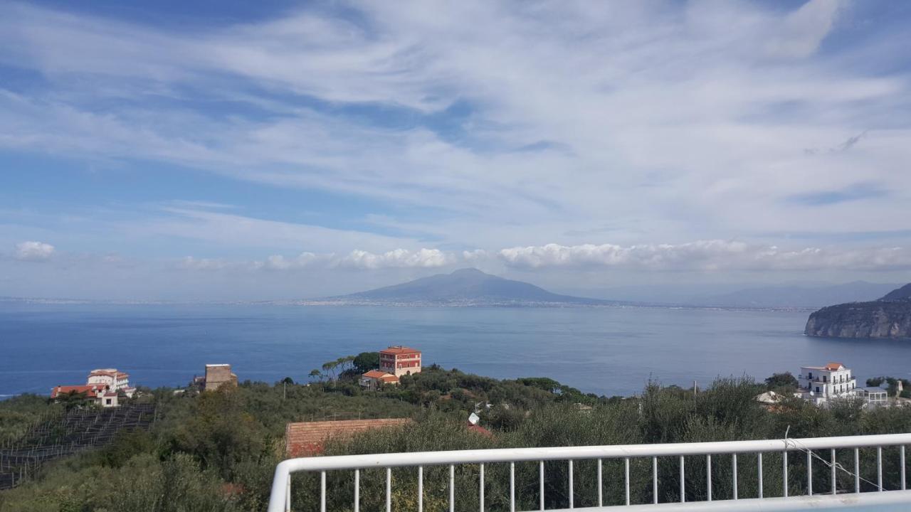Guest house Olive Tree Garden 2*