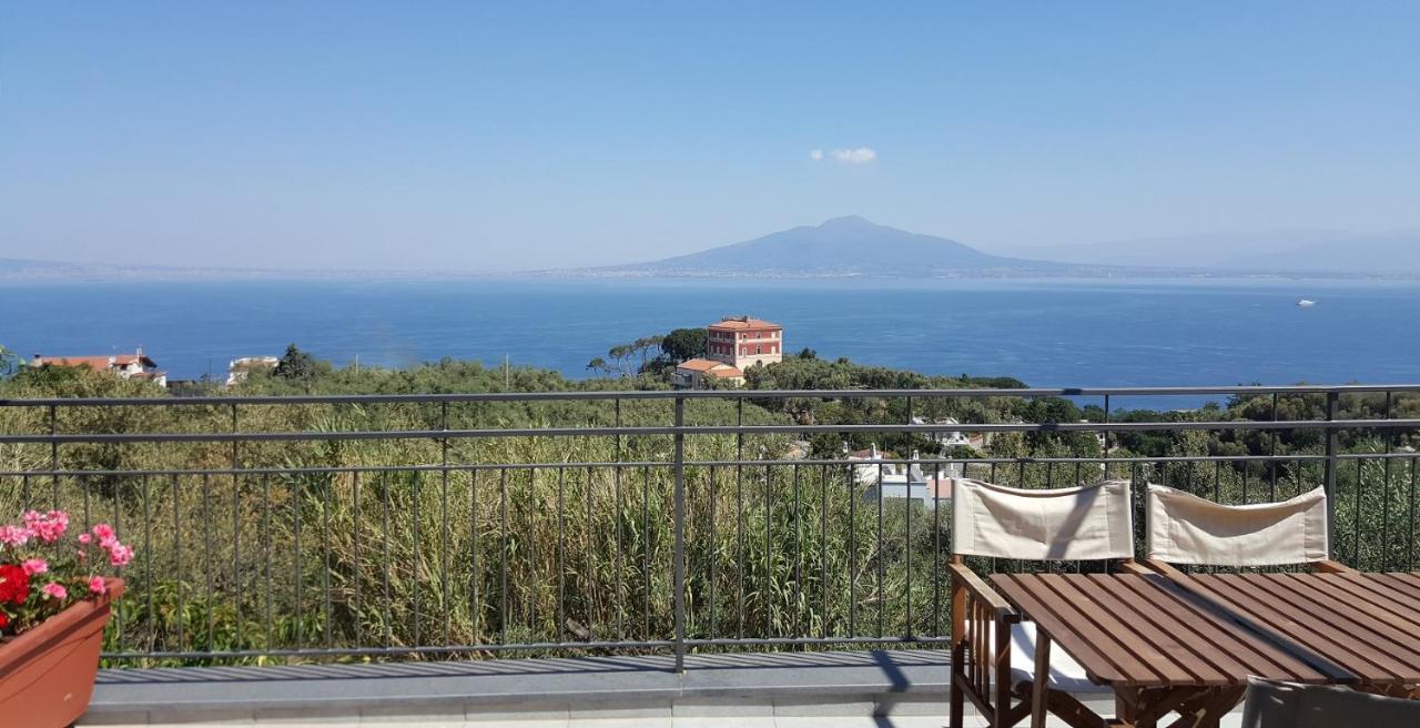 Olive Tree Garden Guest house Sorrento