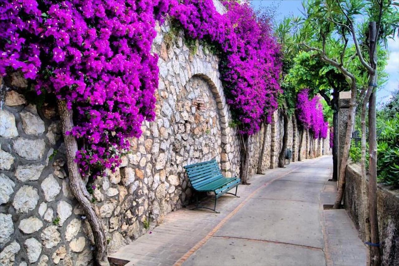 Il Dolce Rifugio * Sorrento