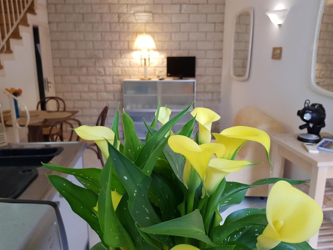 Apartment Kalimera Sorrento