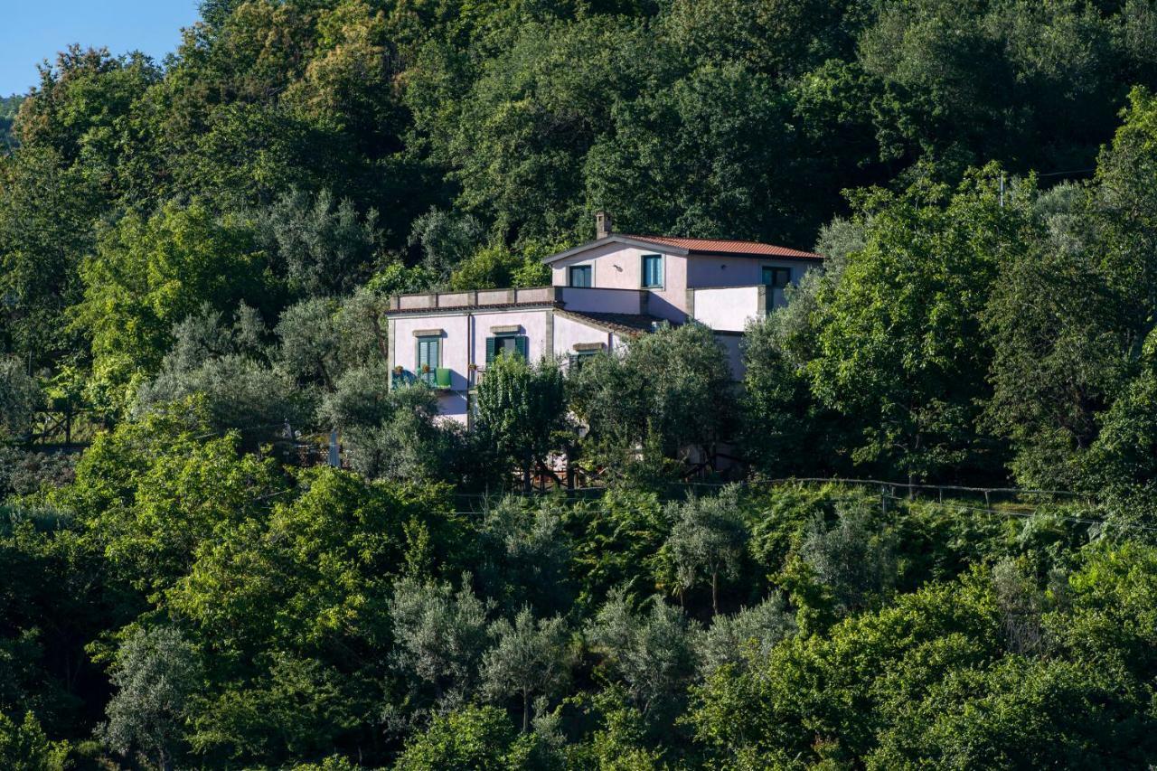 Il Casale