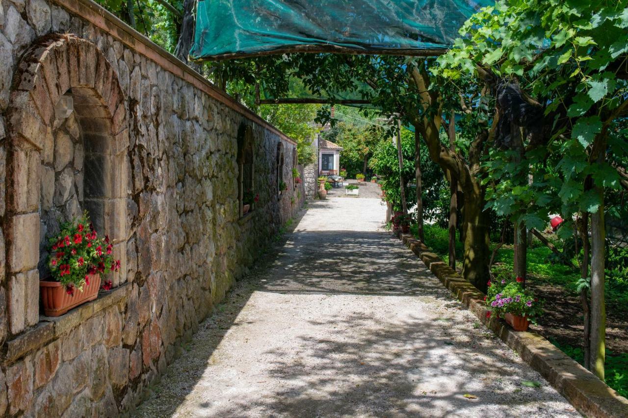 Il Casale 2* Sorrento