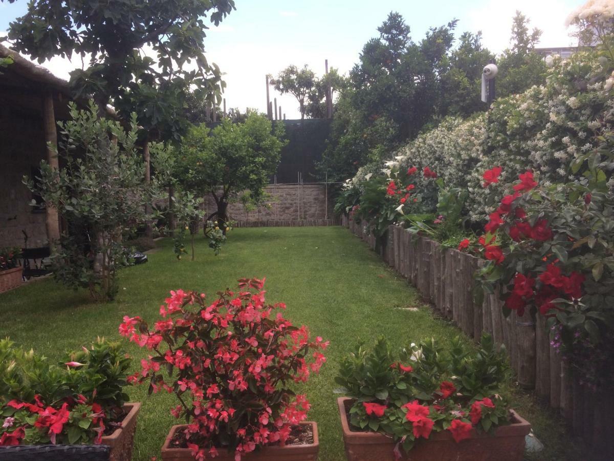 Giardino Sorrentino 2*